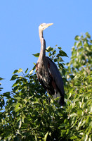 Fountain Creek Park - 6.6.21