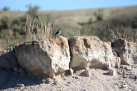 Paint Mines Park - Aug 2020