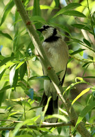 Fountain Creek Park - 6.6.21