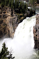 Yellowstone - June 2019