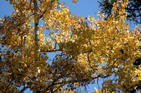 Kenosha Pass - Oct 2020